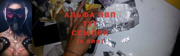 прущие грибы Нефтекумск