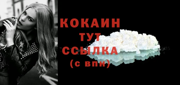 прущие грибы Нефтекумск