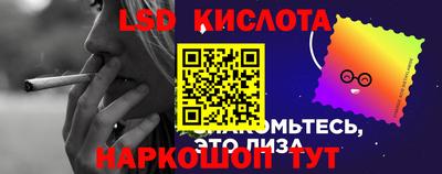spice Аргун