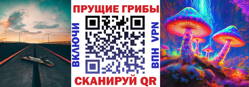 наркота  Карпинск  Псилоцибиновые грибы мухоморы 