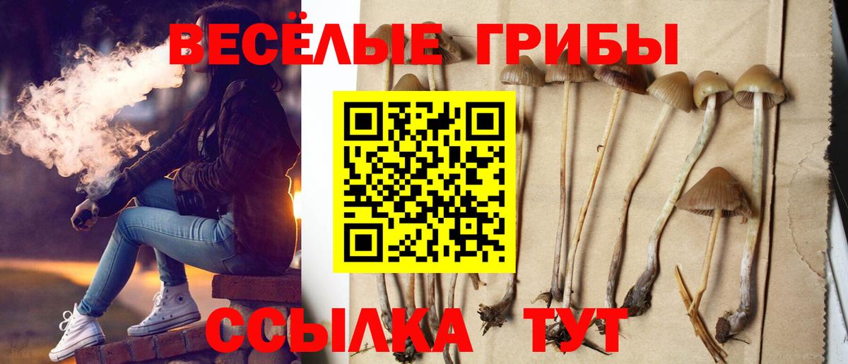 Карпинск  Галлюциногенные грибы Cubensis  Вход с VPN  Псилоцибиновые грибы мухоморы 