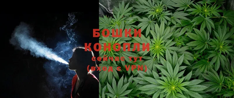 где найти   Карпинск  МАРИХУАНА Ganja 